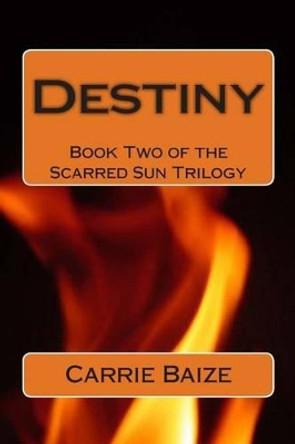 Destiny Carrie Baize 9781460972441