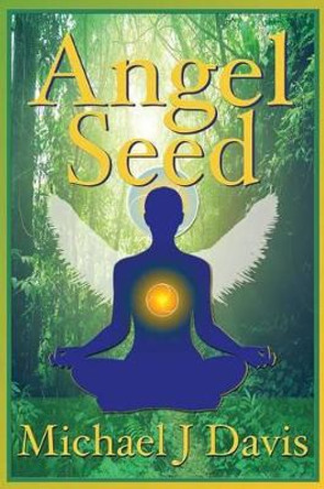 Angel Seed Michael J Davis 9781482628210