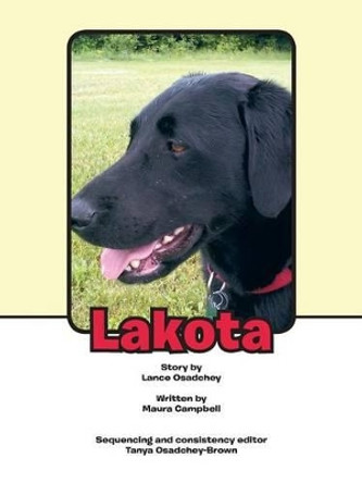 Lakota Lance Osadchey 9781481762250