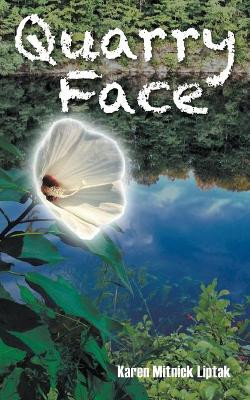 Quarry Face by Karen Mitnick Liptak