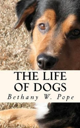 The Life of Dogs Bethany W Pope 9781467916639