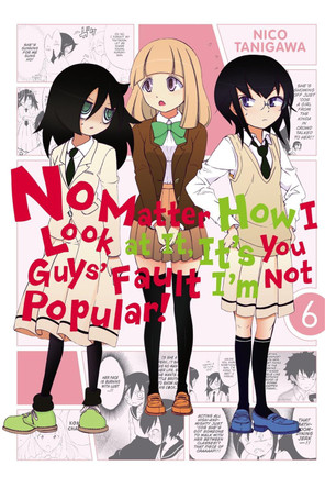 No Matter How I Look at It, It's You Guys' Fault I'm Not Popular!, Vol. 6 Nico Tanigawa 9780316259415