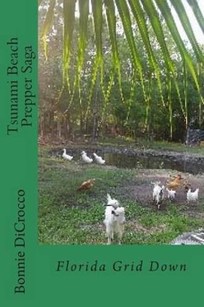 Tsunami Beach Prepper Saga by Bonnie Jean Dicrocco
