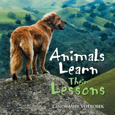 Animals Learn Their Lessons by Cindy Mize Votrobek