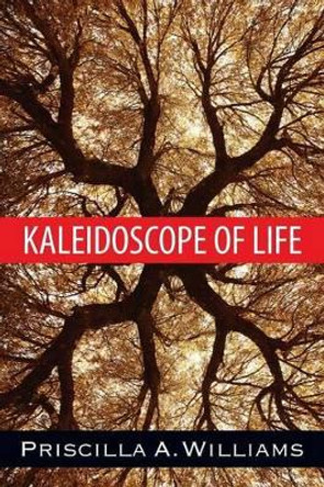Kaleidoscope of Life by Priscilla a Williams