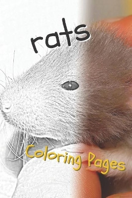 Rat Coloring Pages: Beautiful Rats Drawings for Kids and for Adults Relaxation Coloring Pages 9781090515742