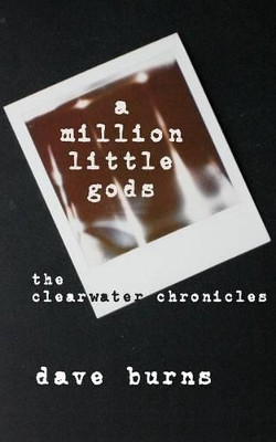 A million little gods by Dave Burns