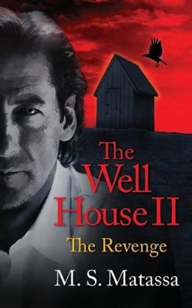 The Well House II by M S Matassa