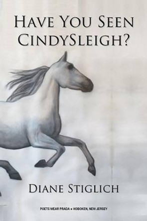 Have You Seen CindySleigh? Diane Stiglich 9780997981117