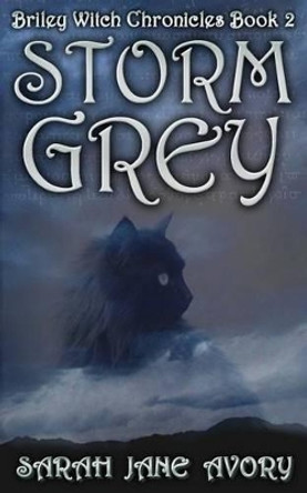 Storm Grey by Sarah Jane Avory