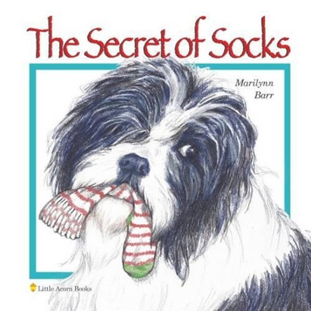 The Secret of Socks Marilynn Barr 9781539015949