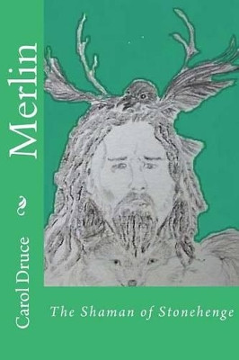 Merlin by Carol Druce