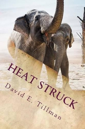 Heat Struck David E Tillman 9781515260530