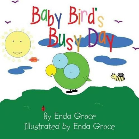 Baby Bird's Busy Day Enda Groce 9781496950734