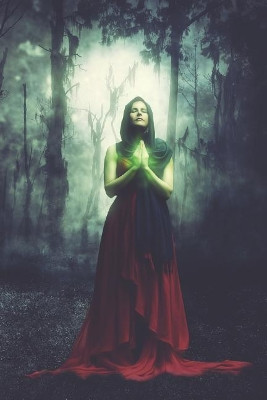 Witch in the Forest Lab Book by Pagan Essentials