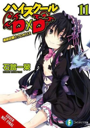 High School DxD, Vol. 11 (light novel) Ichiei Ishibumi 9781975348168