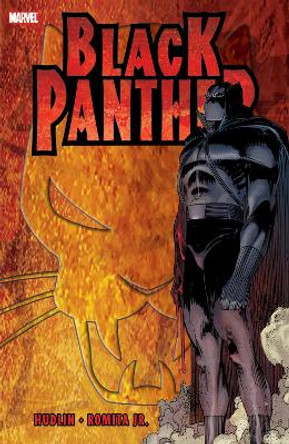 Black Panther: Who Is The Black Panther John Romita 9780785197997