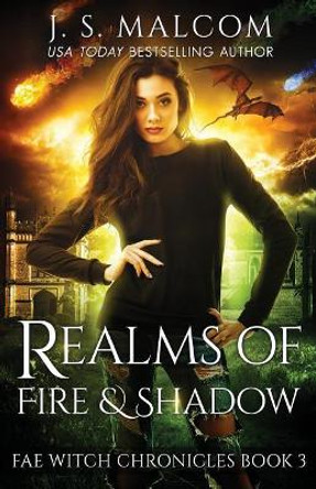 Realms of Fire and Shadow: Fae Witch Chronicles Book 3 J S Malcom 9781981139507