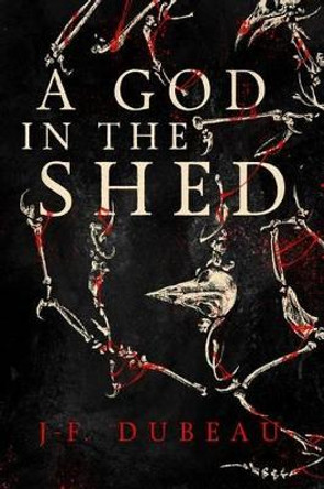 A God in the Shed J-F. Dubeau 9781942645351