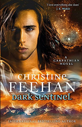 Dark Sentinel Christine Feehan 9780349419794