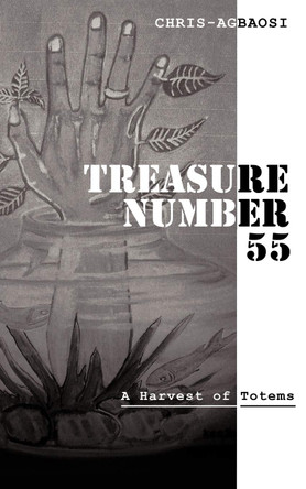 Treasure Number 55 by Chris Agbaosi