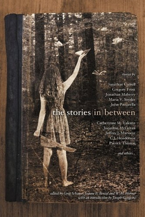 The Stories in Between: A Between Books Anthology Greg Schauer 9780971360884