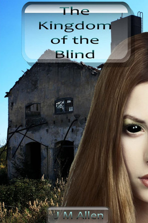 The Kingdom of the Blind J M Allen 9781500598211