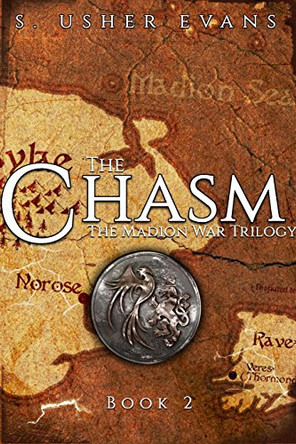 The Chasm S Usher Evans 9780986298165