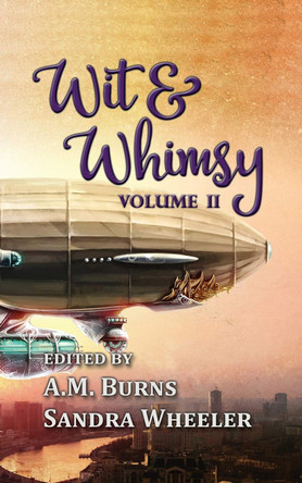 Wit & Whimsy: Volume 2 A M Burns 9781795006637