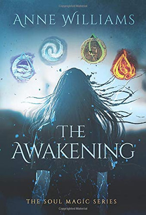 The Awakening Anne Williams 9780578694948