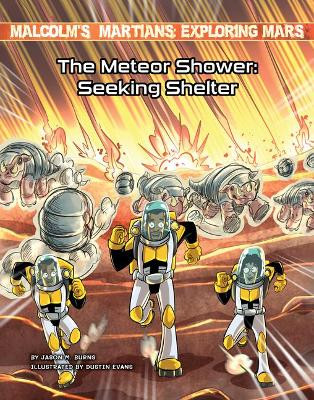 The Meteor Shower: Seeking Shelter Jason M Burns 9781534199750