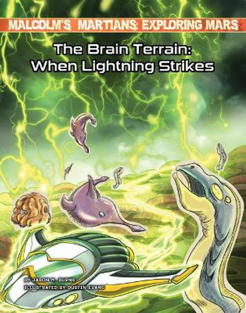 The Brain Terrain: When Lightning Strikes Jason M Burns 9781534199774