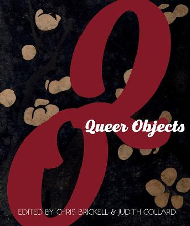 Queer Objects Chris Brickell 9781978801707