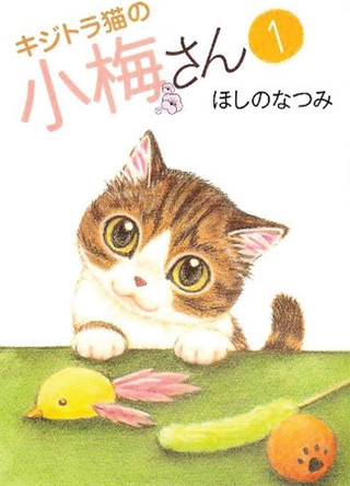 Plum Crazy! Tales of a Tiger-Striped Cat Vol. 1 by Hoshino Natsumi