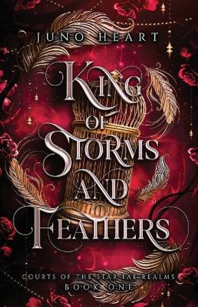 King of Storms and Feathers: A Dark Fae Fantasy Romance Juno Heart 9780645624274