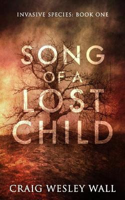 Song of a Lost Child by Craig Wesley Wall