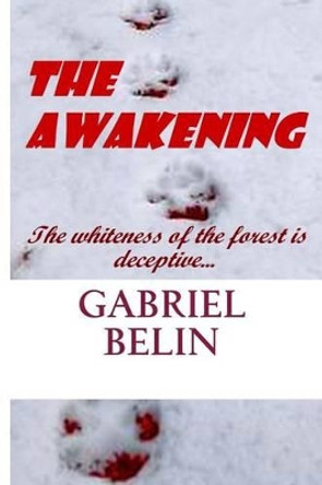 The Awakening Gabriel Belin 9781493771769