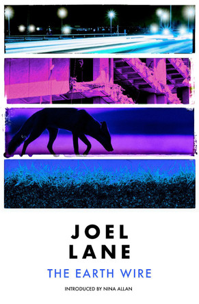 The Earth Wire by Joel Lane