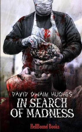 In Search of Madness David Owain Hughes 9781953905277