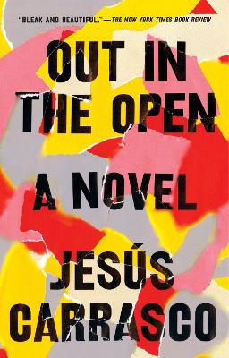 Out in the Open: A Novel Jesus Carrasco 9781594634376