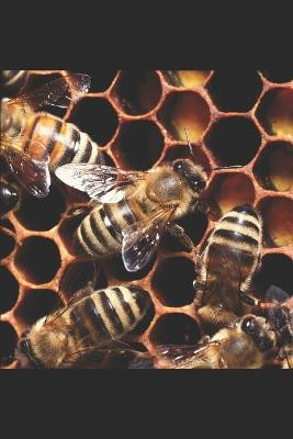 Ruffling the hornets nest Reawakening of a slumbering giant by Kundai Edward Pfumayaramba