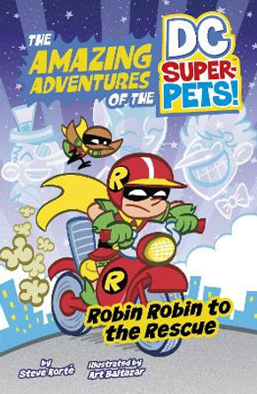 Robin Robin to the Rescue Steve Korte 9781398215009