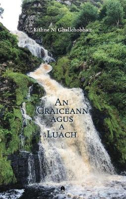 An Craiceann agus a Luach by Eithne Ni Ghallchobhair