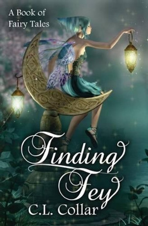 Finding Fey Brandy Walker 9781494956004