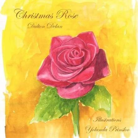 Christmas Rose by Yolanda Prinsloo