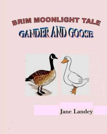 Gander and Goose: Brim Moonlight Tale Jane Olamide Olubunm Landey 9781507529638