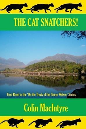 The Cat Snatchers! Colin Macintyre 9781490402741