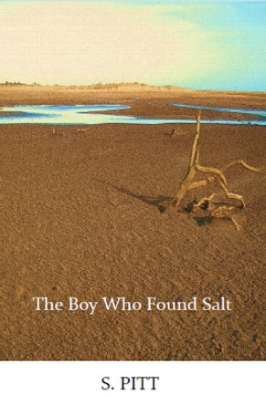 The Boy Who Found Salt S. Pitt 9781739795108