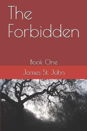 The Forbidden: Book 1 James St John 9781797758756