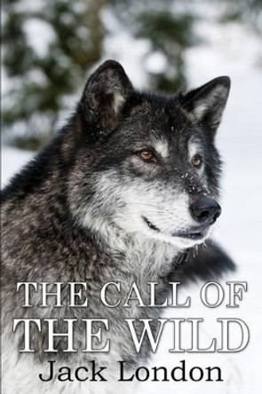 The Call of the Wild: (Mockingbird Classics) Jack London 9781536992427